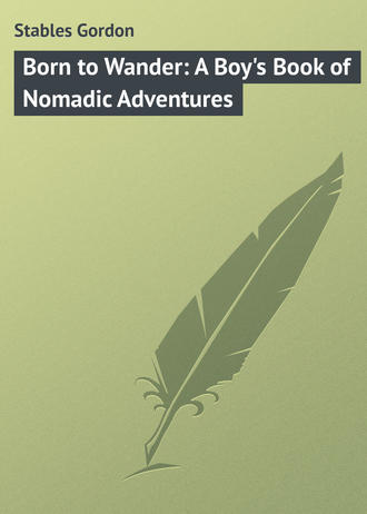 Обложка книги «Born to Wander: A Boy's Book of Nomadic Adventures»