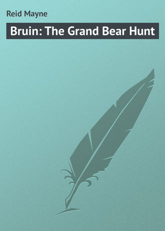 Обложка книги «Bruin: The Grand Bear Hunt»