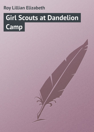 Обложка книги «Girl Scouts at Dandelion Camp»