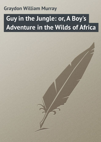Обложка книги «Guy in the Jungle: or, A Boy's Adventure in the Wilds of Africa»