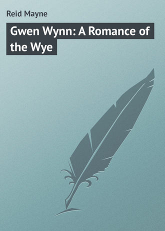Обложка книги «Gwen Wynn: A Romance of the Wye»