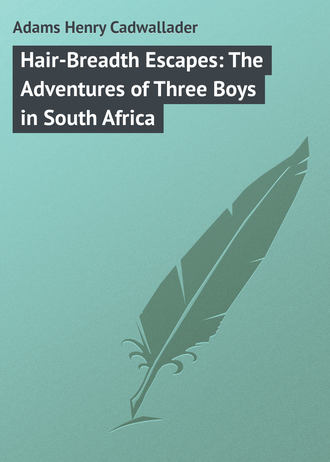 Обложка книги «Hair-Breadth Escapes: The Adventures of Three Boys in South Africa»