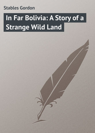Обложка книги «In Far Bolivia: A Story of a Strange Wild Land»