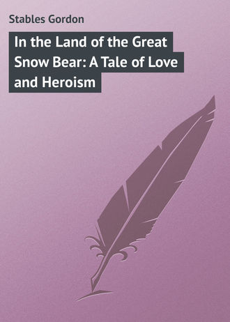 Обложка книги «In the Land of the Great Snow Bear: A Tale of Love and Heroism»