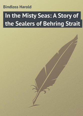 Обложка книги «In the Misty Seas: A Story of the Sealers of Behring Strait»