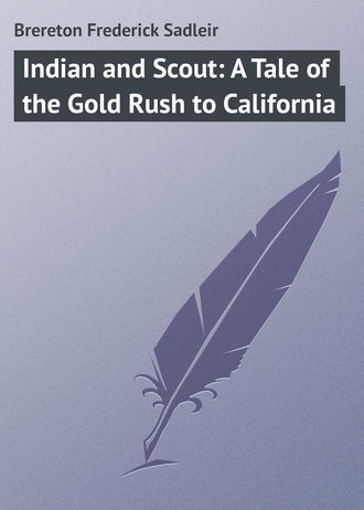 Обложка книги «Indian and Scout: A Tale of the Gold Rush to California»