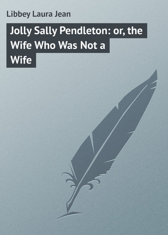 Обложка книги «Jolly Sally Pendleton: or, the Wife Who Was Not a Wife»