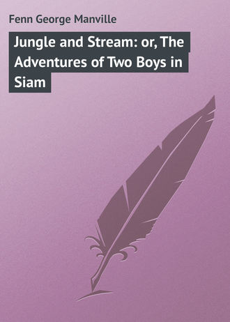 Обложка книги «Jungle and Stream: or, The Adventures of Two Boys in Siam»