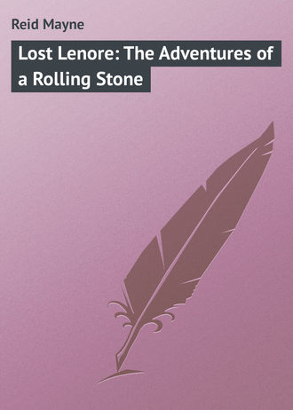 Обложка книги «Lost Lenore: The Adventures of a Rolling Stone»