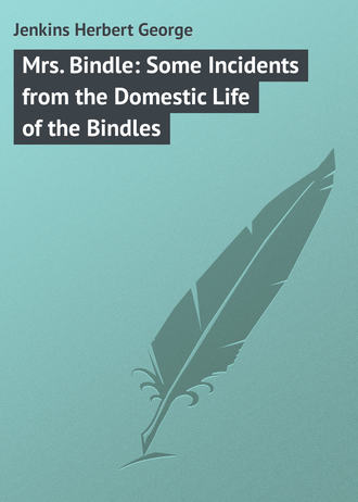 Обложка книги «Mrs. Bindle: Some Incidents from the Domestic Life of the Bindles»