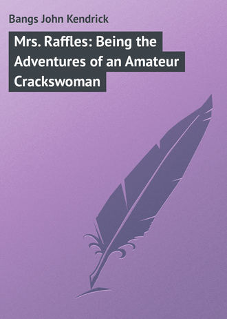 Обложка книги «Mrs. Raffles: Being the Adventures of an Amateur Crackswoman»