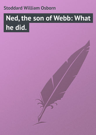 Обложка книги «Ned, the son of Webb: What he did.»
