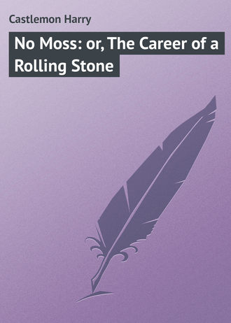 Обложка книги «No Moss: or, The Career of a Rolling Stone»