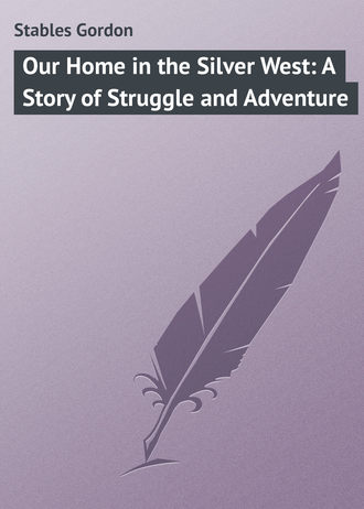 Обложка книги «Our Home in the Silver West: A Story of Struggle and Adventure»