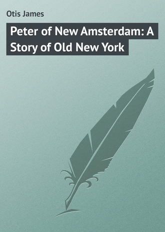 Обложка книги «Peter of New Amsterdam: A Story of Old New York»