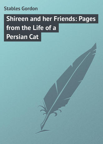 Обложка книги «Shireen and her Friends: Pages from the Life of a Persian Cat»