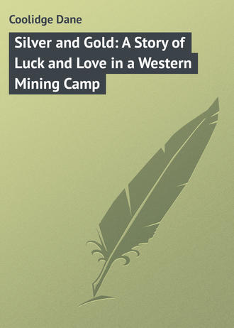 Обложка книги «Silver and Gold: A Story of Luck and Love in a Western Mining Camp»