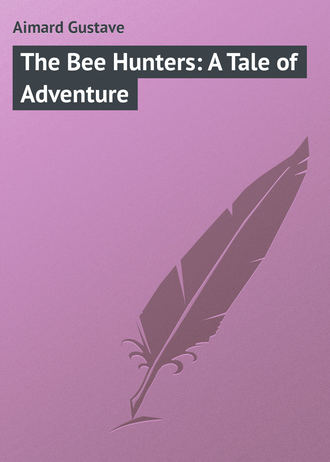 Обложка книги «The Bee Hunters: A Tale of Adventure»