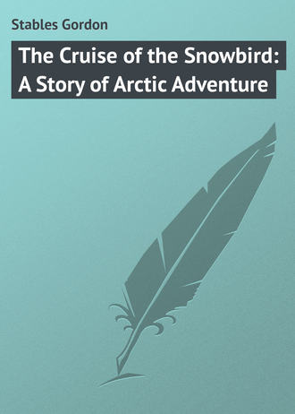 Обложка книги «The Cruise of the Snowbird: A Story of Arctic Adventure»