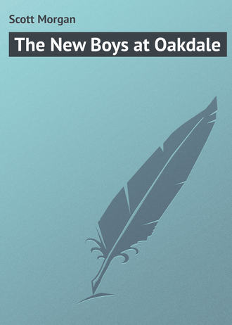 Обложка книги «The New Boys at Oakdale»
