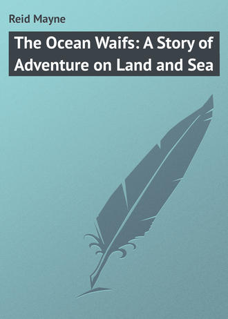 Обложка книги «The Ocean Waifs: A Story of Adventure on Land and Sea»