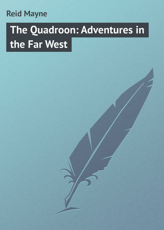 Обложка книги «The Quadroon: Adventures in the Far West»