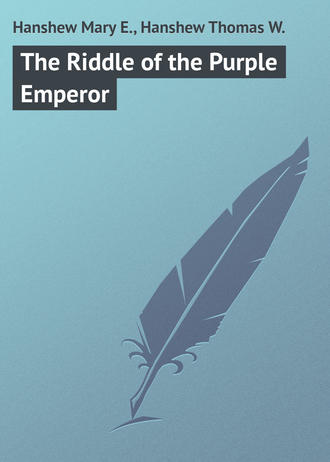Обложка книги «The Riddle of the Purple Emperor»