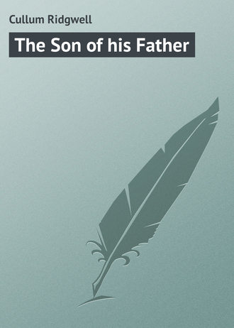 Обложка книги «The Son of his Father»