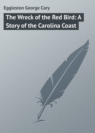 Обложка книги «The Wreck of the Red Bird: A Story of the Carolina Coast»