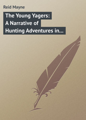 Обложка книги «The Young Yagers: A Narrative of Hunting Adventures in Southern Africa»