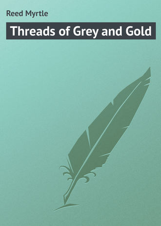 Обложка книги «Threads of Grey and Gold»