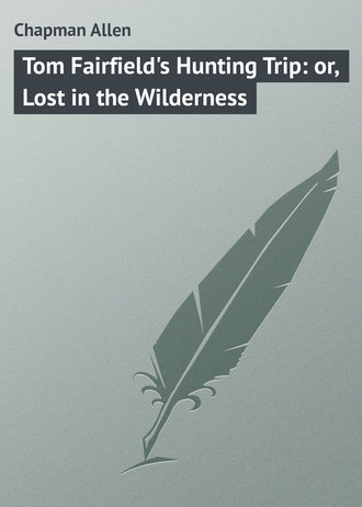 Обложка книги «Tom Fairfield's Hunting Trip: or, Lost in the Wilderness»