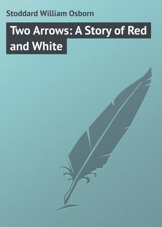 Обложка книги «Two Arrows: A Story of Red and White»