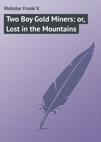 Обложка книги «Two Boy Gold Miners: or, Lost in the Mountains»