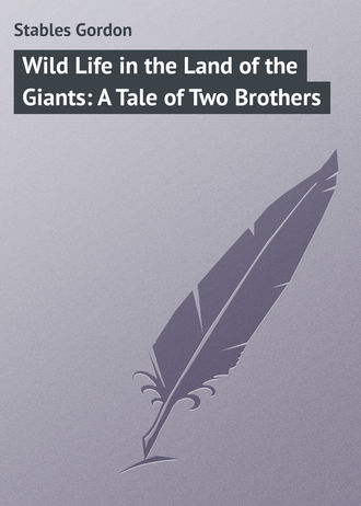 Обложка книги «Wild Life in the Land of the Giants: A Tale of Two Brothers»