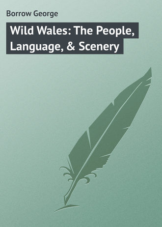 Обложка книги «Wild Wales: The People, Language, & Scenery»