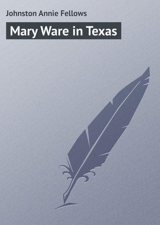 Обложка книги «Mary Ware in Texas»