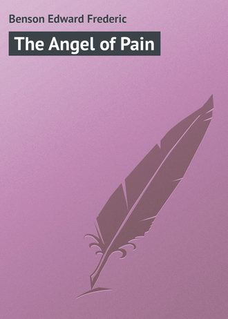 Обложка книги «The Angel of Pain»