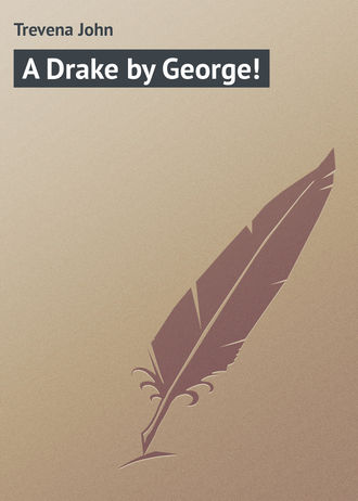 Обложка книги «A Drake by George!»
