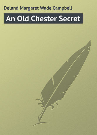 Обложка книги «An Old Chester Secret»