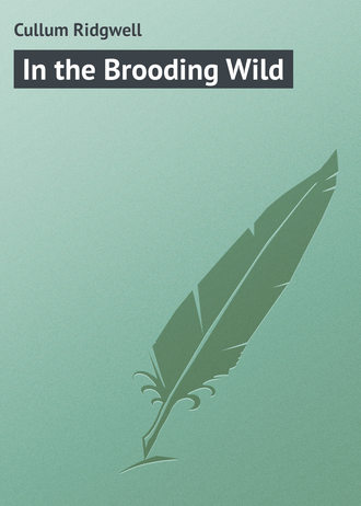 Cullum Ridgwell. In the Brooding Wild