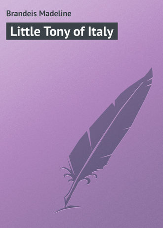 Обложка книги «Little Tony of Italy»