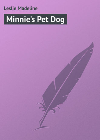 Обложка книги «Minnie's Pet Dog»