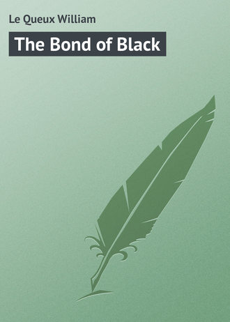 Обложка книги «The Bond of Black»