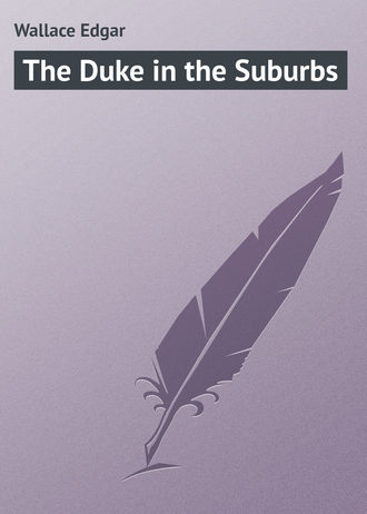 Обложка книги «The Duke in the Suburbs»