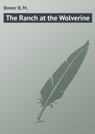Обложка книги «The Ranch at the Wolverine»