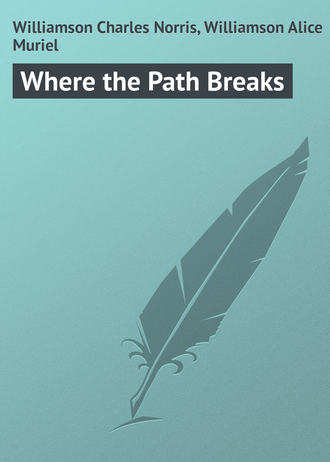 Обложка книги «Where the Path Breaks»
