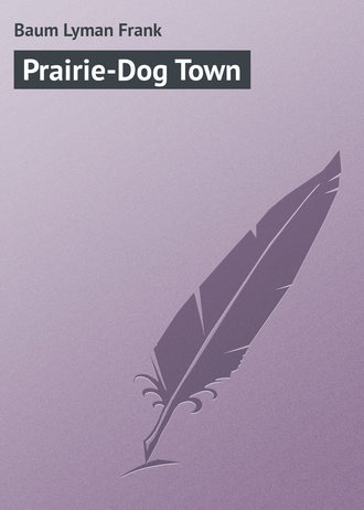 Обложка книги «Prairie-Dog Town»
