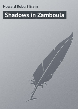 Howard Robert Ervin. Shadows in Zamboula