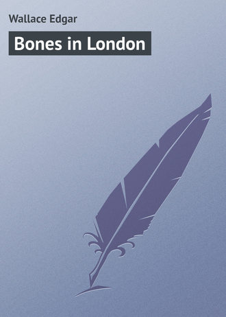 Обложка книги «Bones in London»